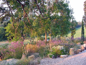 Pool and grounds 06