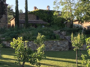 Pool & grounds, grounds at Borghetto Calcinaia