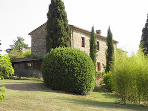 Pool & grounds, the grounds around the villa