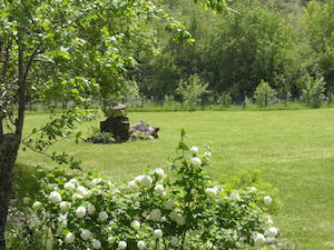 Stacks Image 1179