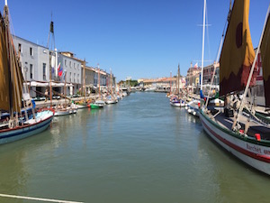 What to do, Cesenatico