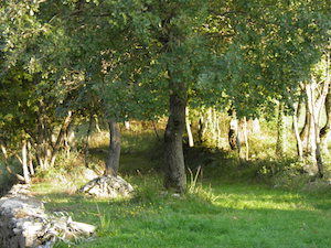  What to do, grounds at Calcinaia
